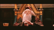 IMG_8718.gif