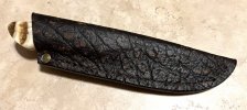 IMG_2679.jpeg