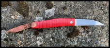 IMG_4936.jpeg