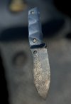IMG_8494.jpeg