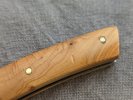 Le Thiers small 4.jpg