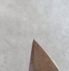 20240728_113143.jpg