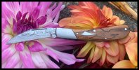 IMG_5006.jpeg