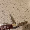 20240730_055939.jpg