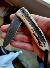 LionSteel 8800D Opera Heinskingring Damasteel Stag.jpg