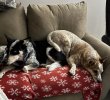 IMG_4904.jpeg