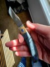 Jack Wolf Javelina Jack Knife Modders SE S90V.jpg