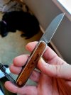 James Brand Pike Rosewood Damasteel Rose DS93X.jpg