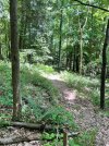 IMG_7609.jpeg