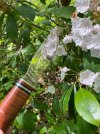 IMG_7686.jpeg