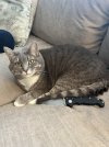 IMG_3521.jpeg