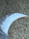 IMG_8153.jpeg
