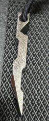 IMG_0856.jpeg