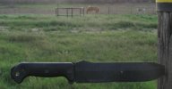 BK9 and Horses.jpg