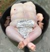 IMG_2467.jpeg