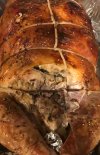 IMG_2468.jpeg