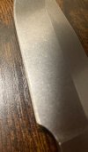 IMG_6271.jpeg