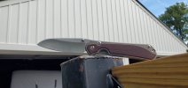 20240809_083812.jpg