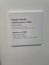 IMG_8585.jpeg