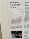 IMG_8587.jpeg
