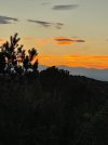 IMG_8609.jpeg