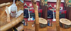 20240209_103238-Collage-DDS.jpg