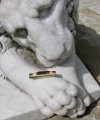 MJ.pile.closed.entry.lion.jpg