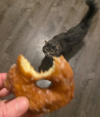 1723338007683.png