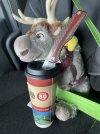IMG_1188.jpeg