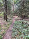 IMG_7862.jpeg