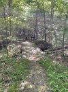 IMG_7860.jpeg