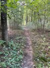IMG_7865.jpeg