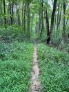 IMG_7866.jpeg
