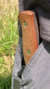 IMG_5749.jpeg