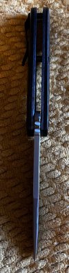 IMG_3695.jpeg