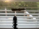 IMG_5796.jpeg