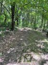 IMG_7868.jpeg