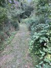 IMG_7874.jpeg