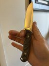 IMG_0763.jpeg
