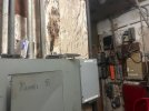 IMG_5875.jpeg
