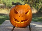 pumpyyoung.jpeg