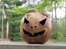 pumpy.jpeg