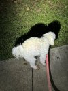 IMG_6064.jpeg