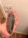 IMG_0242.jpeg