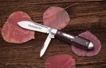 JBF Champlin rosewood 2.jpg