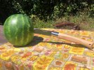 IMG_3708.jpeg