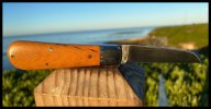 IMG_5294.jpeg