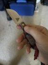 IMG_1176.jpeg