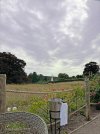IMG_7228.jpg