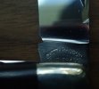 IMG_5148.jpeg